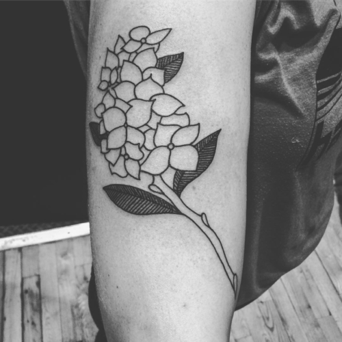 Drew up this hydrangea flower outline to clients liking, and we both love how it came out. #smokemdead #steadfasttattoo .
.
.
.
.
((¥))
#tattoos #btattooing #blackworkerssubmission #iblackwork #blackwork #blackworkers #inkstinctsubmission #blacktraditionals #BLACKTATTOOMAG #blxckink #tttism #TTTpublishing #greatattoo #blackflashwork #TattooLife #darkartists #blackworkershero #wiilsubmission #dot.work.ink #traditionaltattoo