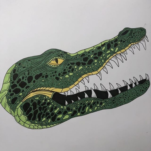 🐊🐊 #inkwork #linework #tattoodesign #colorwork #crocodile #tattooapprentice